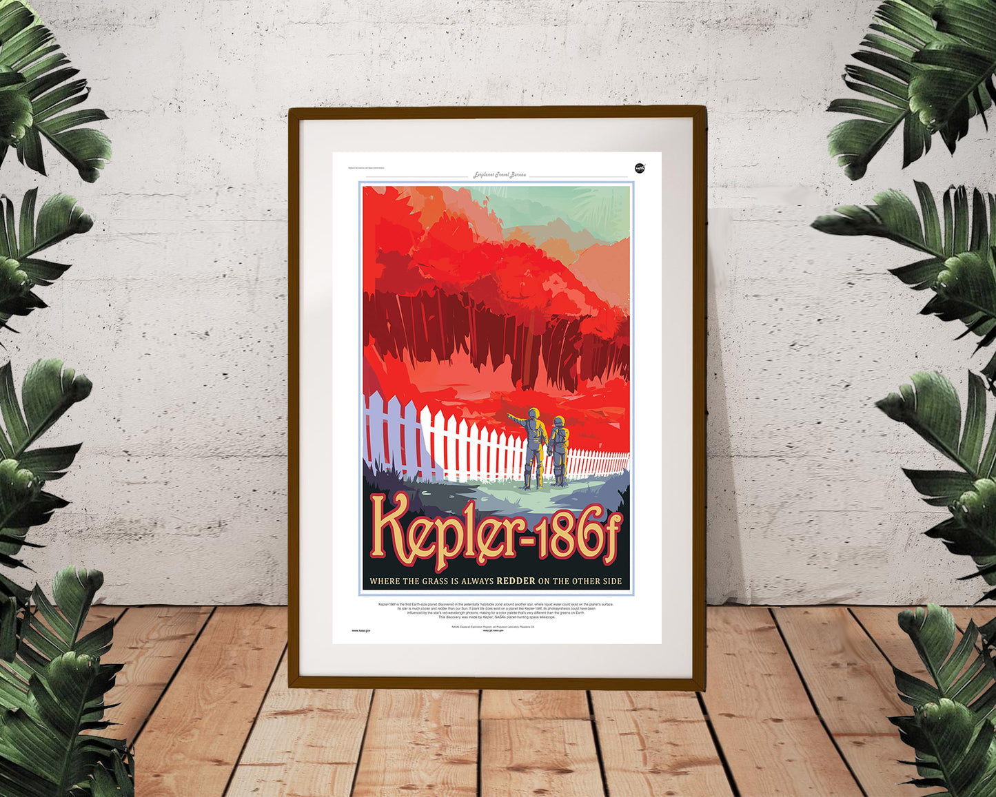 NASA Kepler-186f Poster (24"x36")